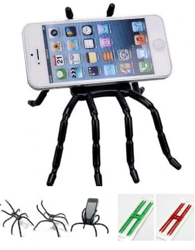 Holder Spider / laba-laba