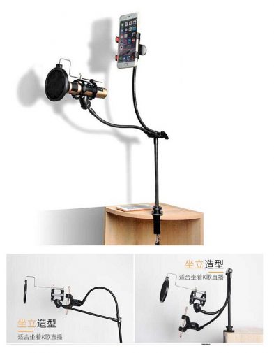 Stand Arm Microphone Flexible + Lazypod Smartphone Holder